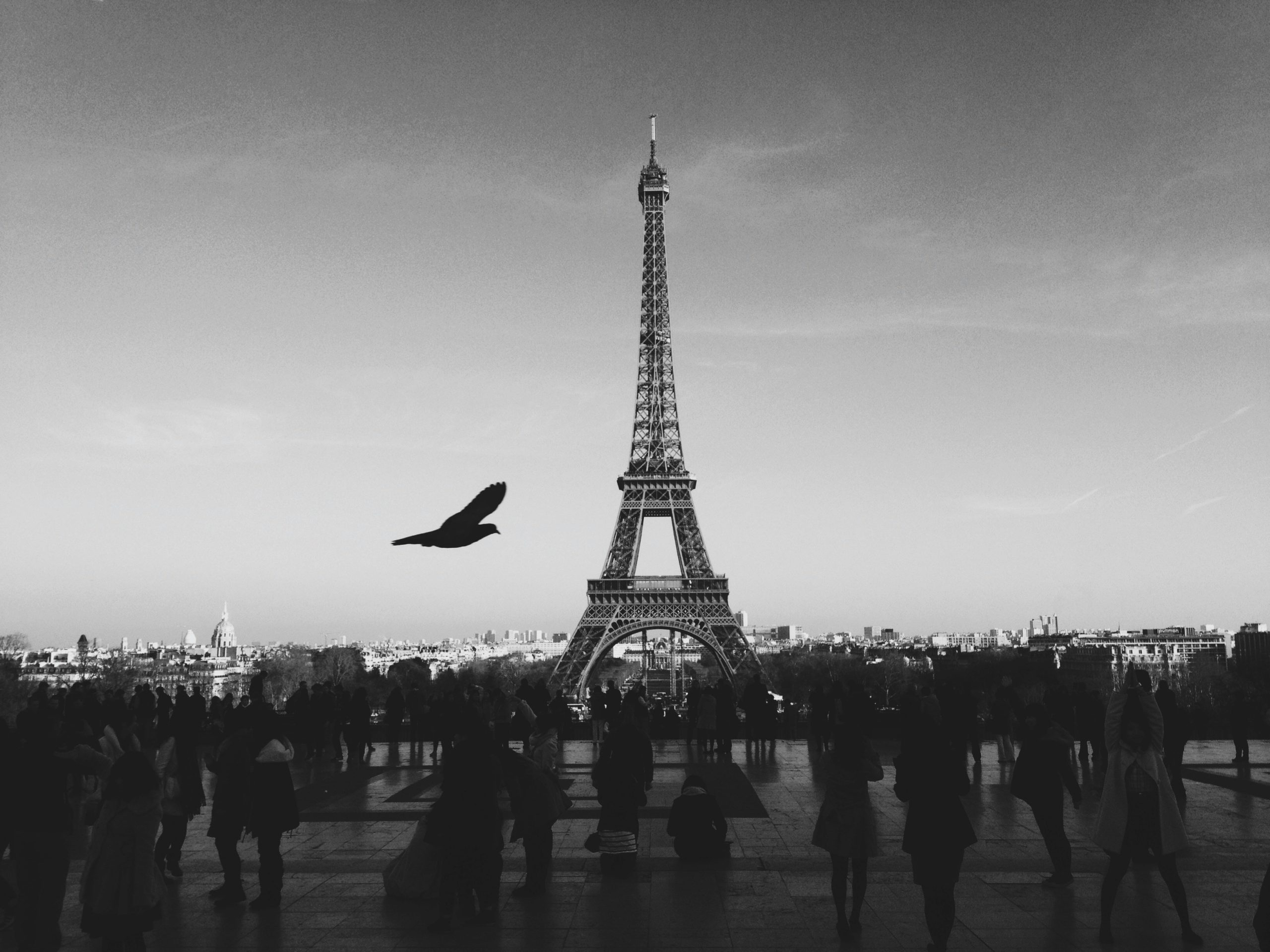 Transforming Special Occasions Into Travel Memories