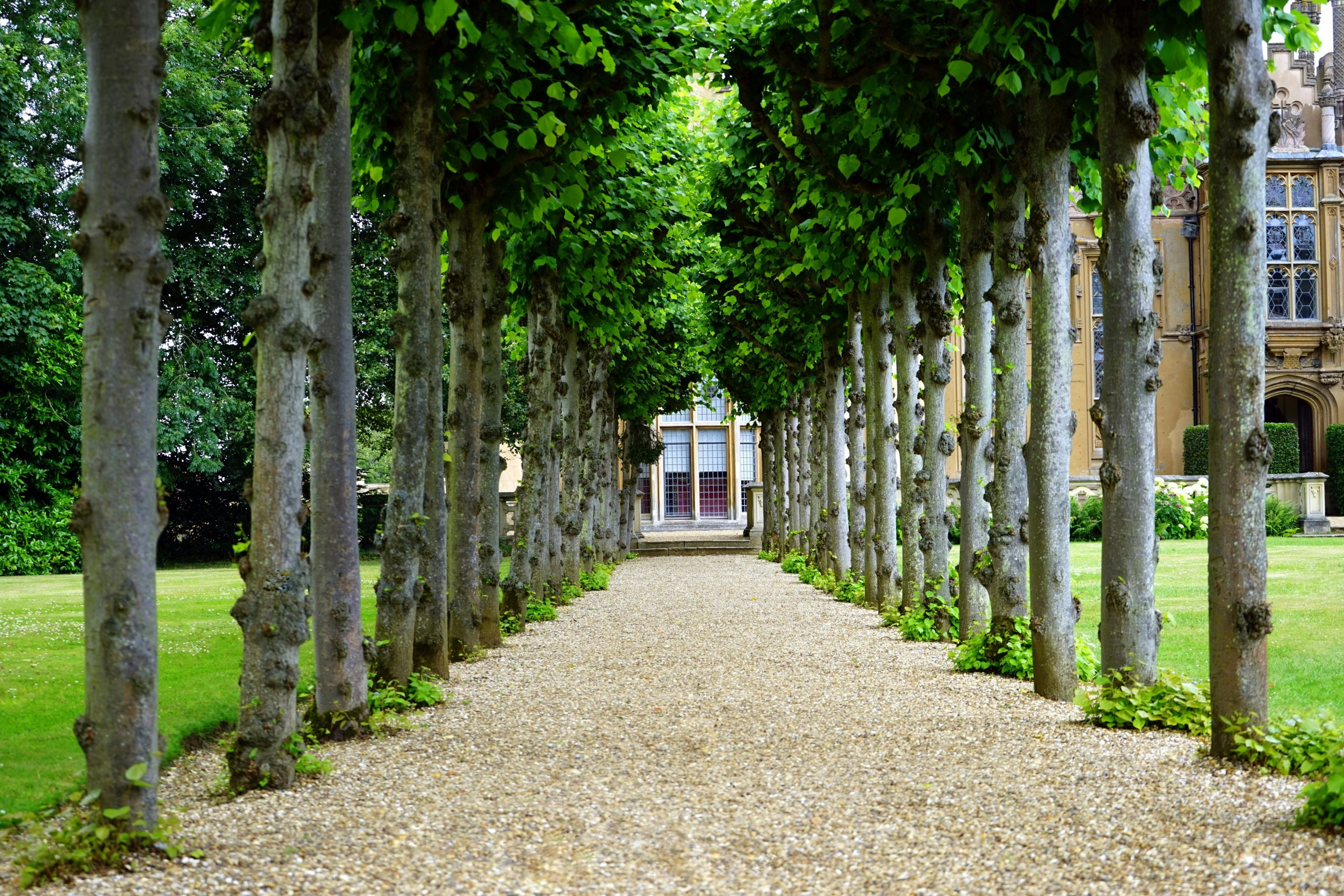 Step-by-Step Pathways to Building a Real Estate Portfolio