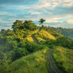 Journeys Through Ancient Cities Steeped in Legend