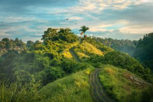 Journeys Through Ancient Cities Steeped in Legend