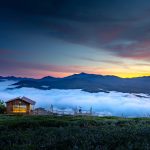 Unique Festivals That Turn Destinations Into Memories