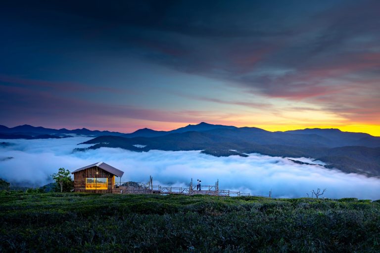 Unique Festivals That Turn Destinations Into Memories