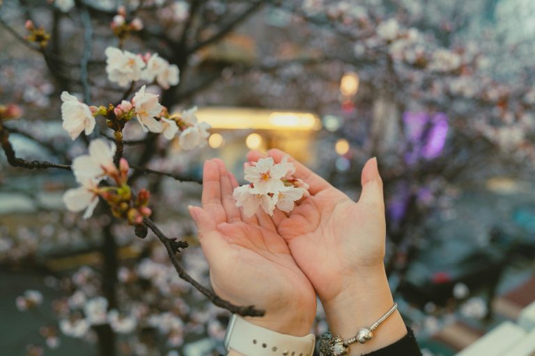 Spring Blossoms: Traveling to Destinations in Full Bloom