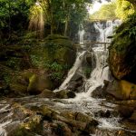 Chasing Waterfalls: Scenic Hikes and Where to Find Them