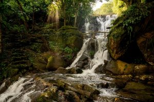 Chasing Waterfalls: Scenic Hikes and Where to Find Them
