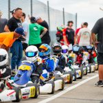 Pet Nutrition Tips for Longevity