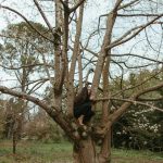 Emerging Suburbs: Where Expansion Meets Opportunity