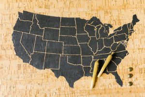Animal Rights Activists Influencing Legislative Change
