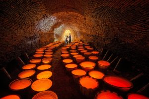 Discovering the Allure of Unexplored Wine Regions