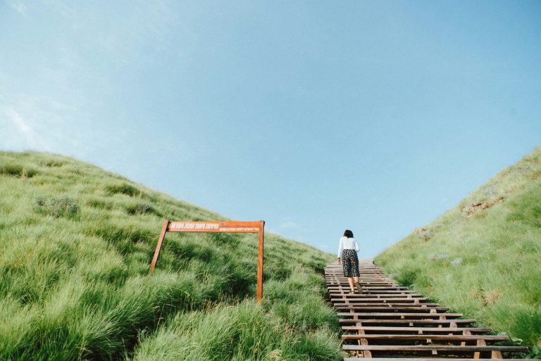 Medical Ethics and End-of-Life Decision Making