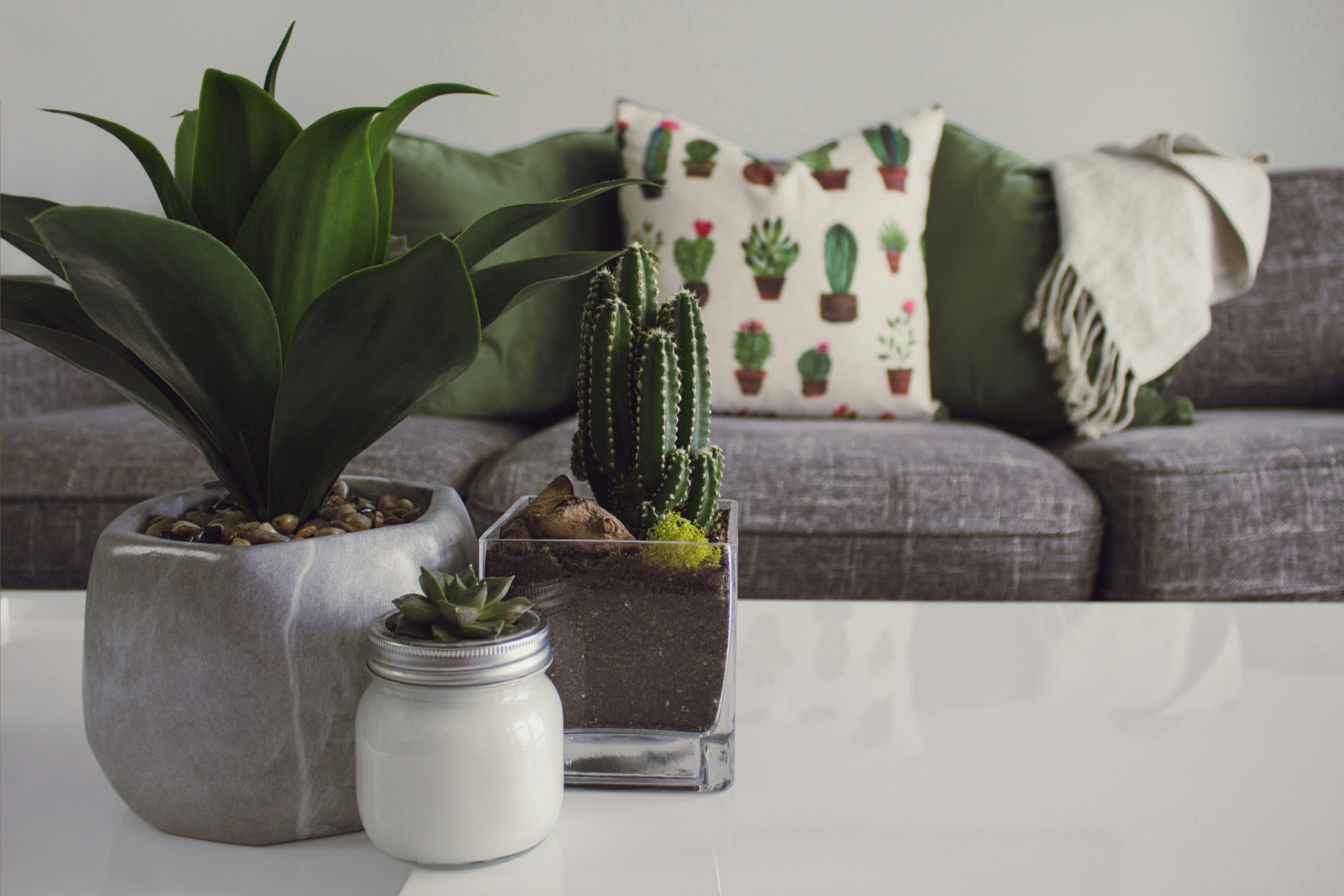 Outdoor Furniture Collections for Every Space