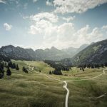 Virtual Field Trips: Exploring the World From Home