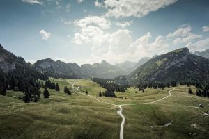 Virtual Field Trips: Exploring the World From Home