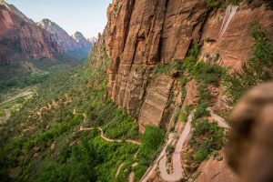 Gastronomic Road Trips Across Country Borders