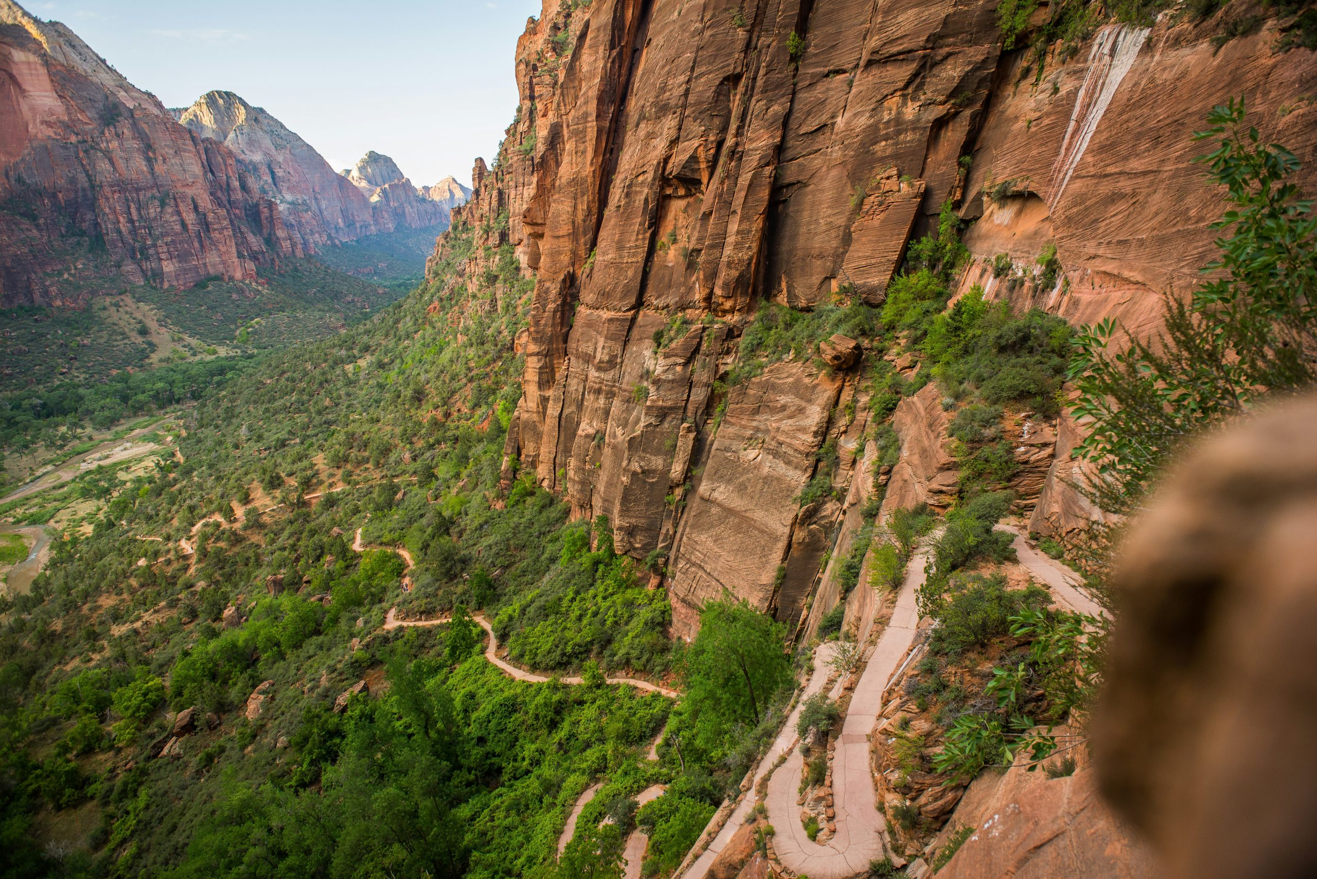 Gastronomic Road Trips Across Country Borders