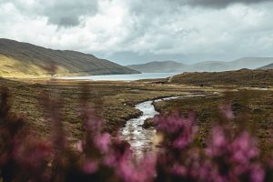 Unexpected Stories From Rivers, Highlands, and Coasts