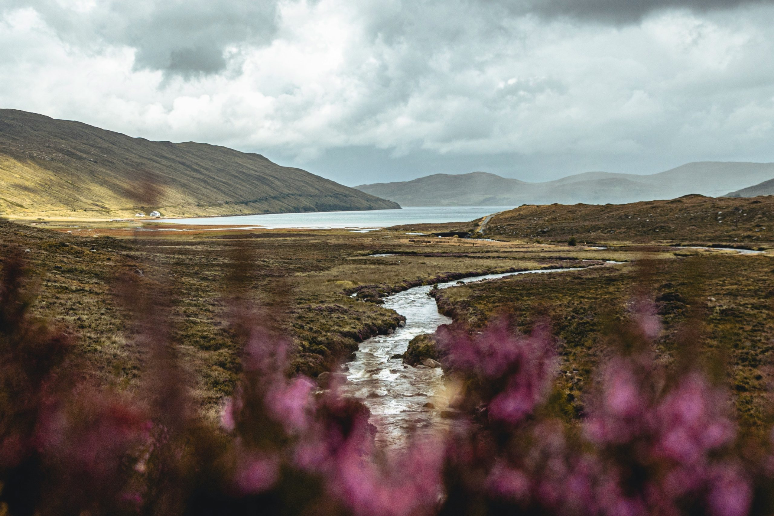 Unexpected Stories From Rivers, Highlands, and Coasts