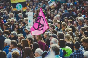 Environmental Justice Movements Influencing Policy