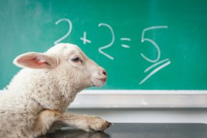 Unconventional Teaching Methods That Get Results