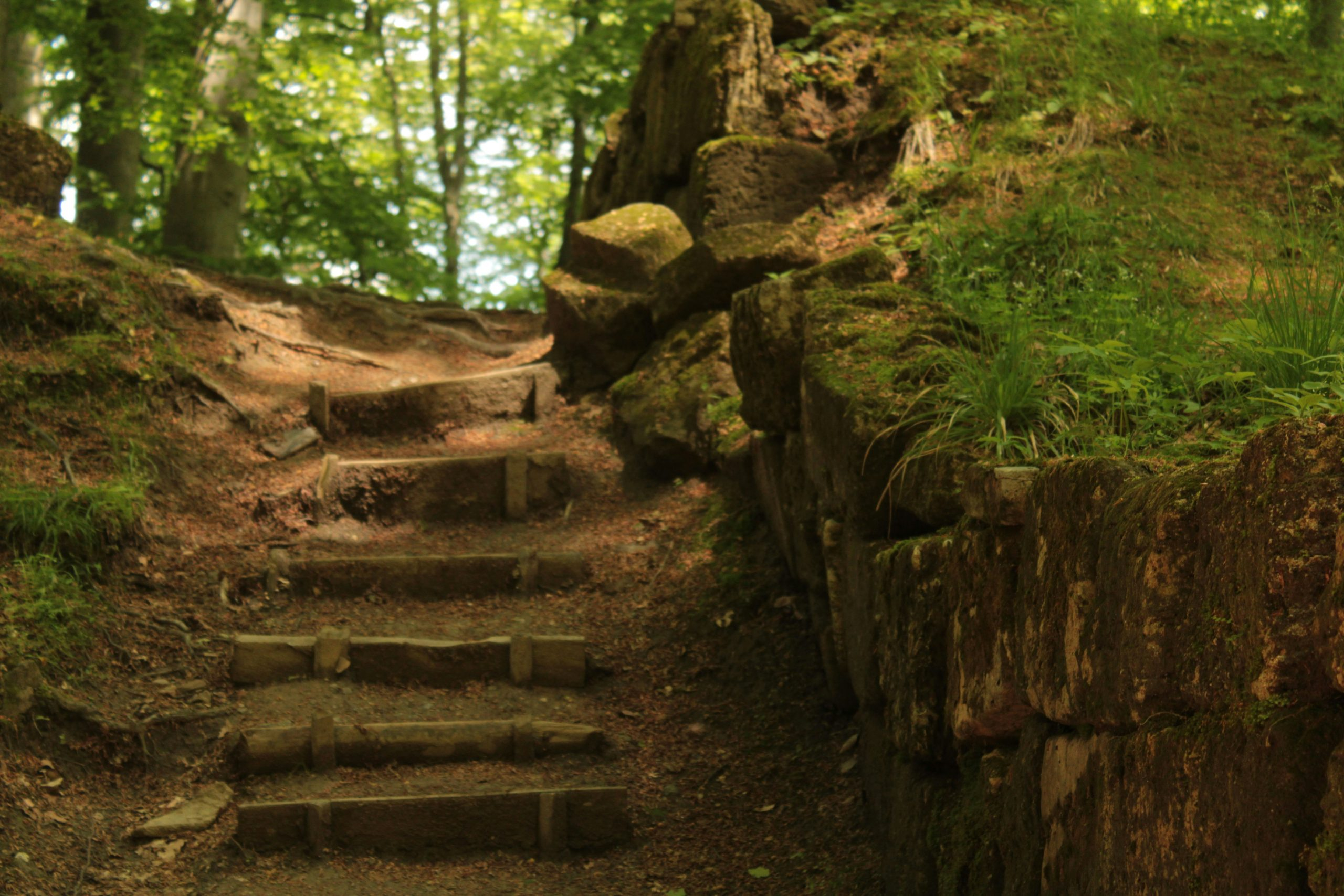 Walking Ancient Trails Where History and Nature Converge