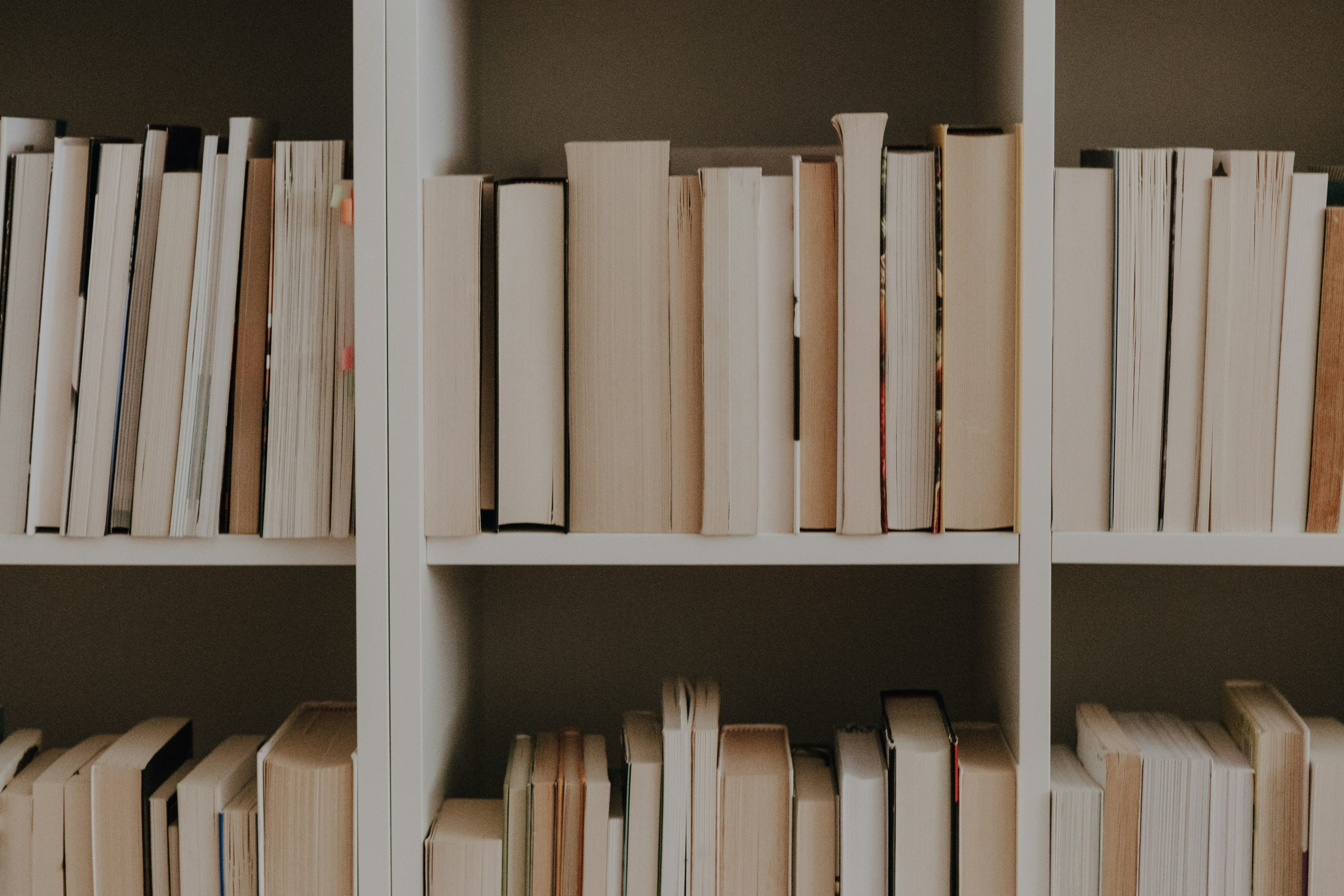 Interdisciplinary Learning: Connecting Subjects for Deeper Insight